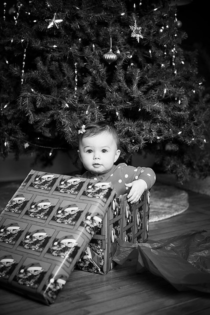 norwood child portrait photographer