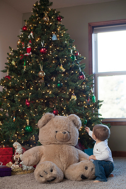 minneapolis family photographer