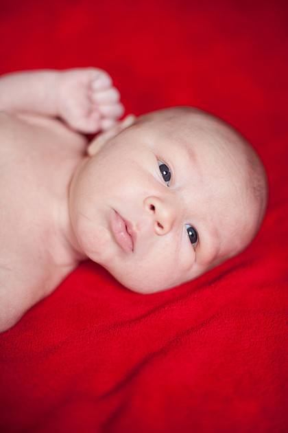 NYANewbornPortraitPhotographer_2