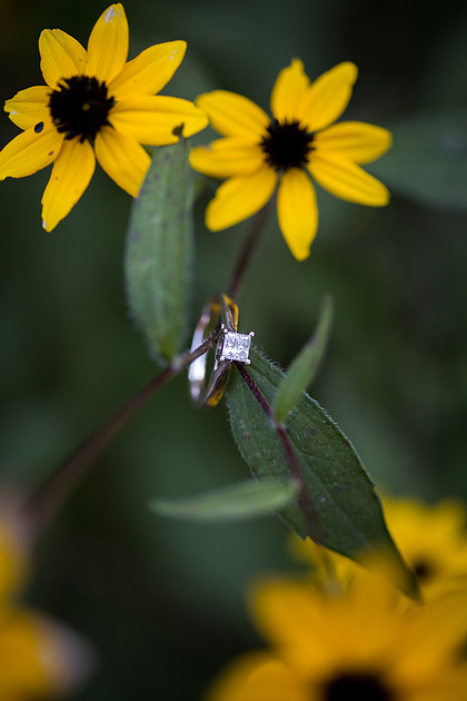 MidwestEngagementPhotographer_22