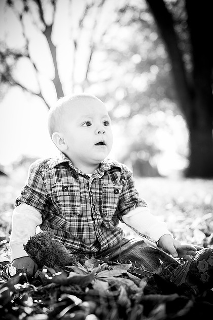 cologne mn child portrait photographer
