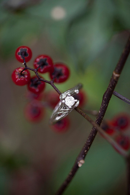 mn engagement photographer