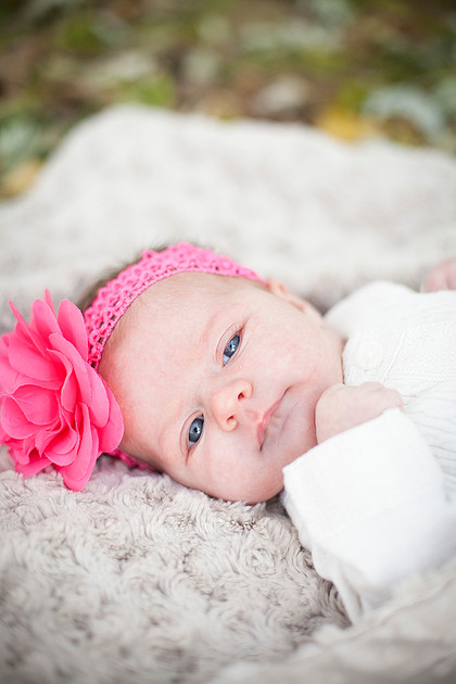 minneapolis family photographer