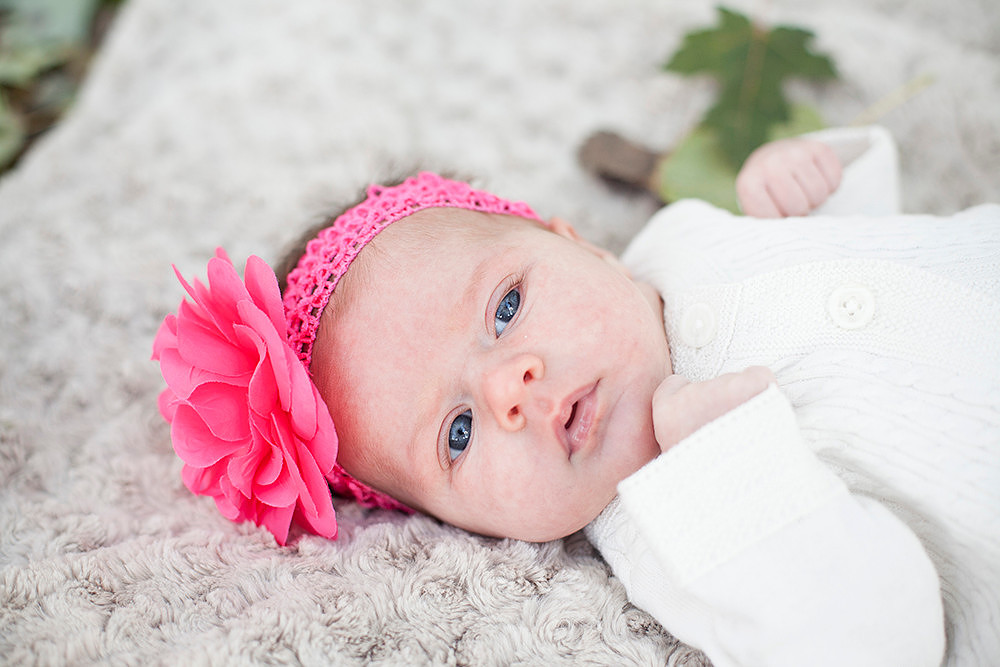 minneapolis family photographer