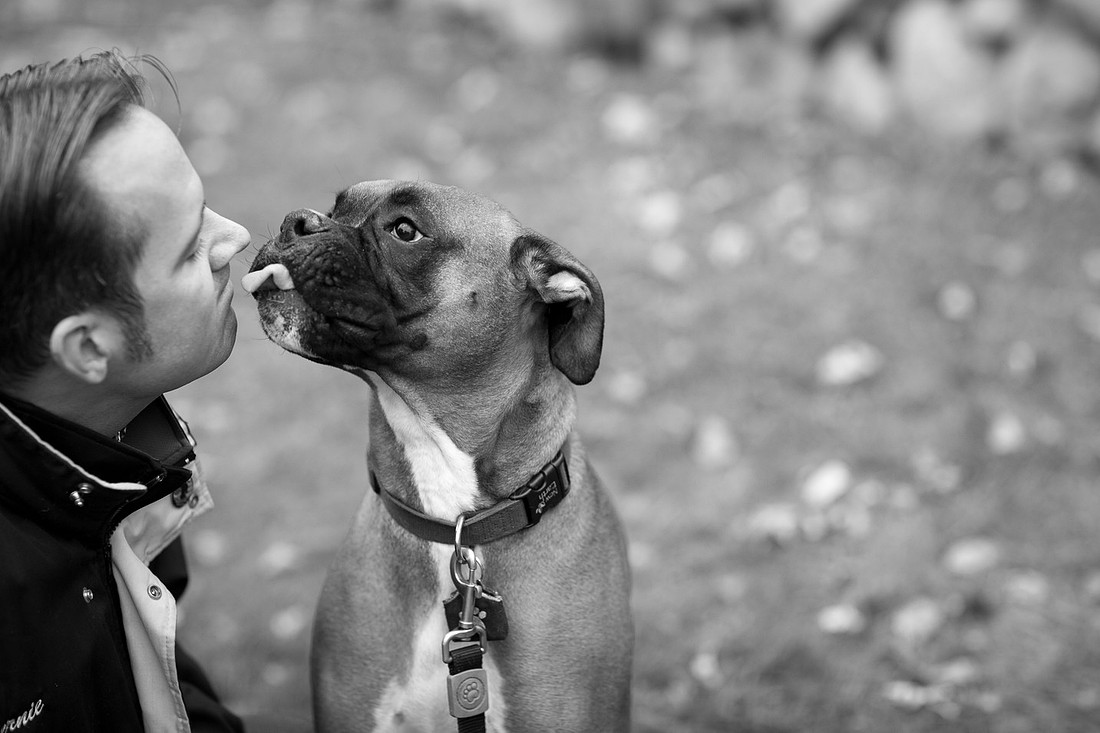 MinnetonkaDogFamilyPhotographer_11