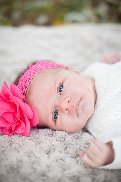 minneapolis family photographer